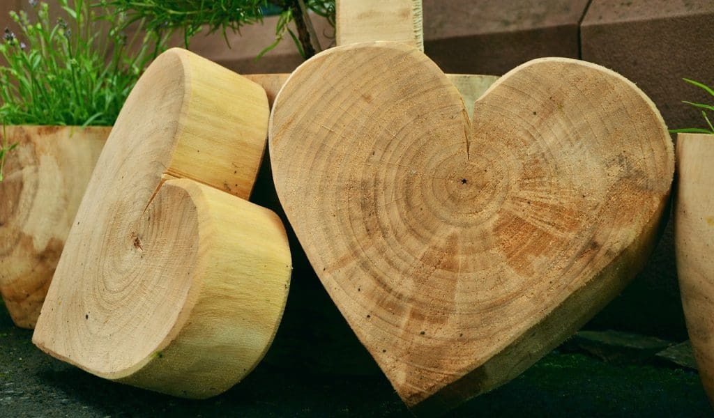 Holz aus dem eigenen Garten lässt sich auf vielfältige Weise kreativ nutzen.