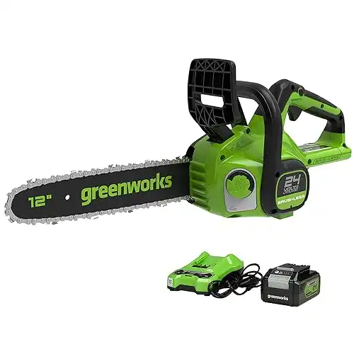 Greenworks G24CS30